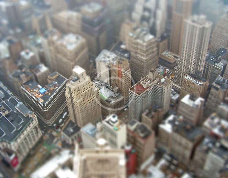 Pellentesque aliquet sapien vitae erat gravida volutpat.